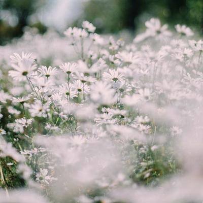 kaiyun平台app下载